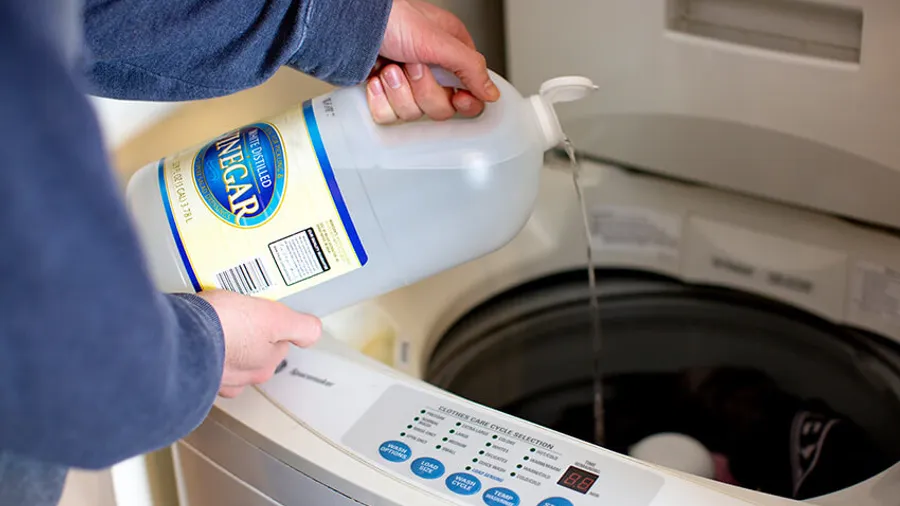 We cover why maintaining your washing machine is important.