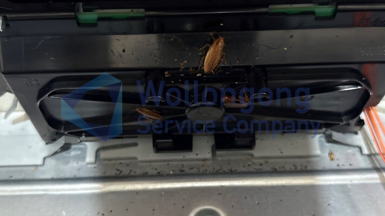 Cockroaches in your appliances, and what to do about it